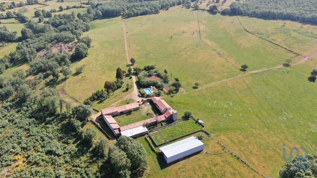 Aankoop: Huis (6320)