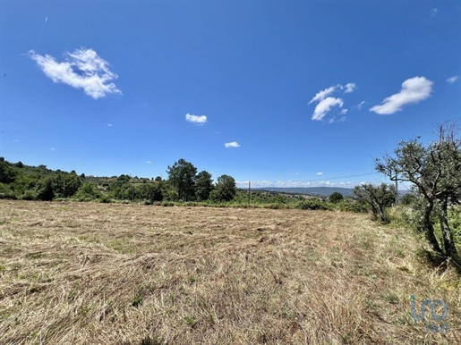 Terreno em São Paio de 24000,00 m²