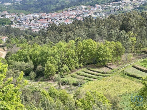 Terrain à Vouzela e Paços de Vilharigues de 26750,00 m²