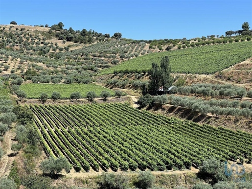 Terra a Vila Nova de Foz Côa, Guarda