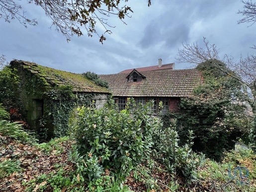 Dorfhaus in Oliveira de Frades, Viseu