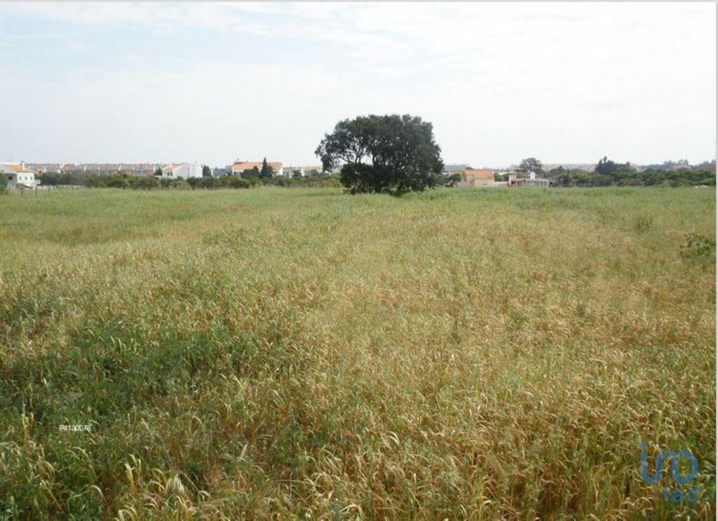 Terreno em Alcochete de 2856,00 m²