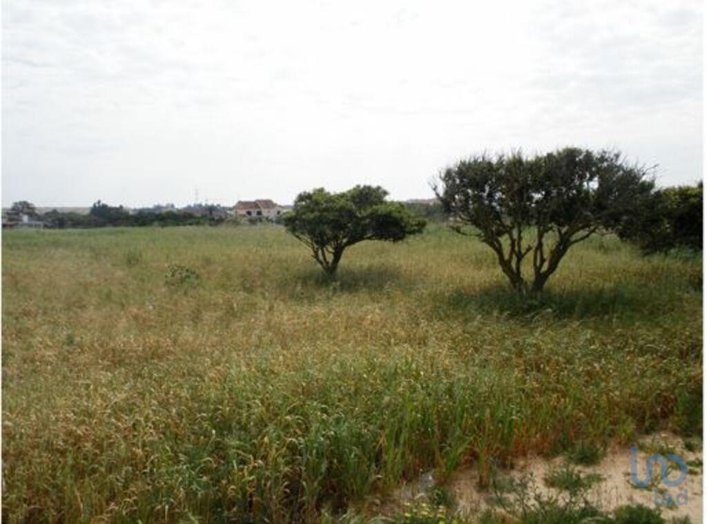 Terreno em Alcochete de 2856,00 m²