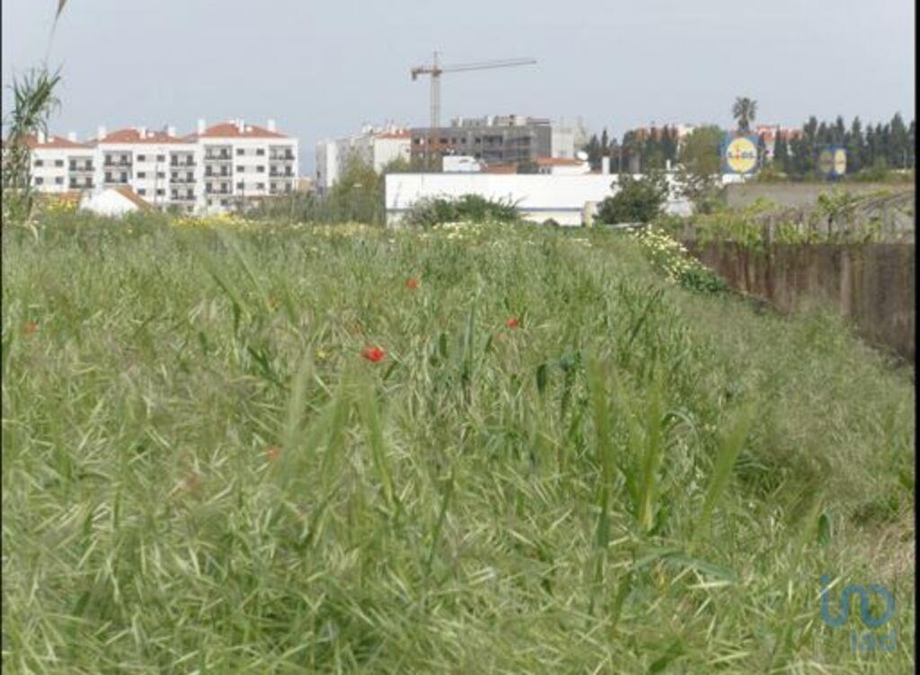 Terreno em Alcochete de 2856,00 m²