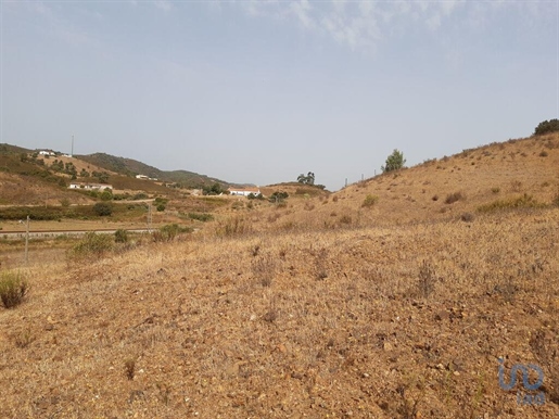 Tierra en el Faro, Silves