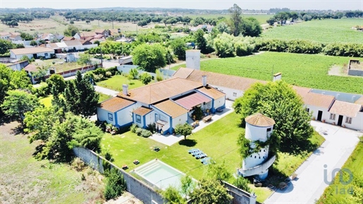 Quinto en el Santarém, Alpiarça