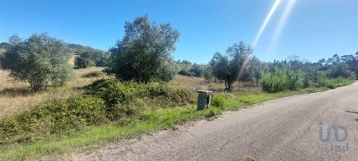 Agricultural Land in Leiria