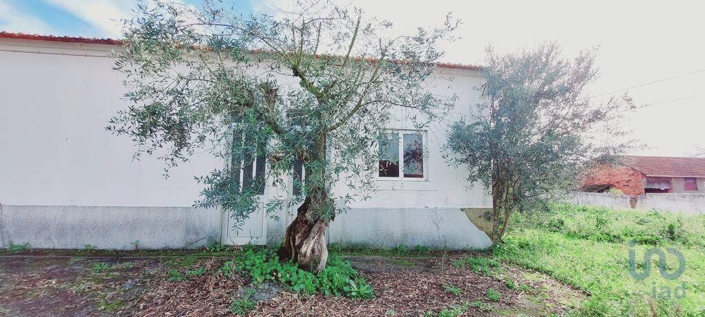 Home / Villa with 4 Rooms in Porto de Mós - São João Baptista e São Pedro with 446,00 m²