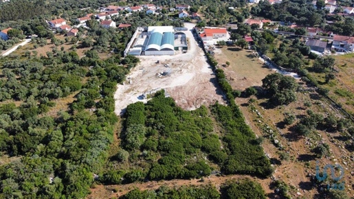 Miscellaneous trade in Alcanede with 2339,00 m²