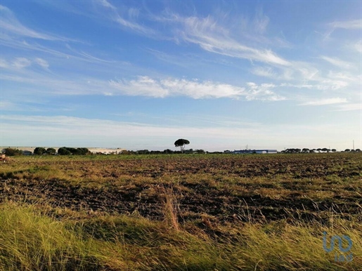 Terrain à Pegões de m²