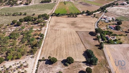 Terreno em Pegões de 31738,00 m²