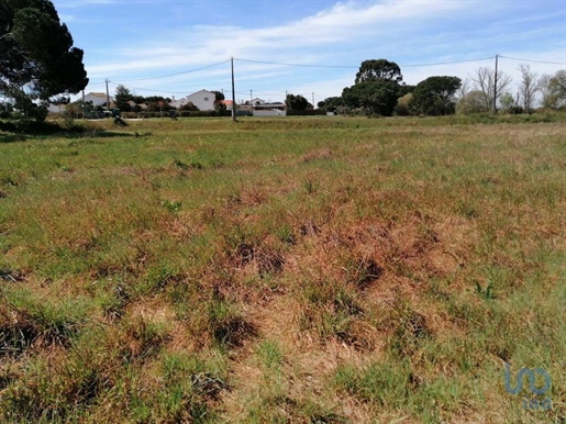 Terrain à Pegões de 19000,00 m²