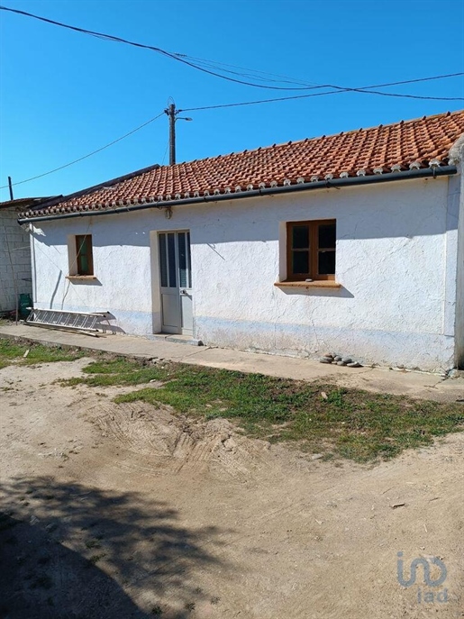 Tierra en el Faro, Aljezur