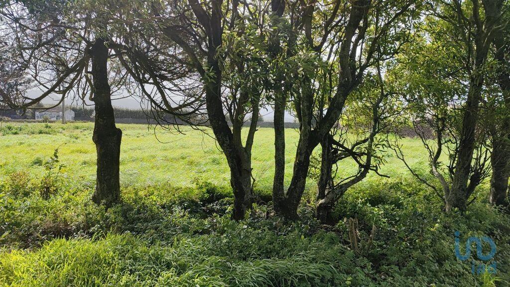 Ground with 3 Rooms in Rabo de Peixe with 820,00 m²