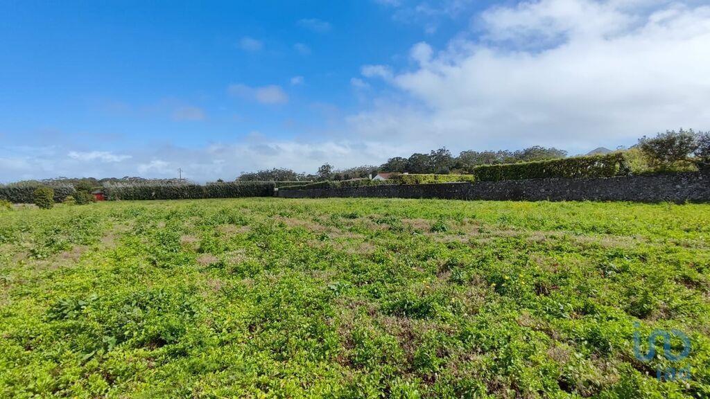 Ground with 3 Rooms in Rabo de Peixe with 820,00 m²