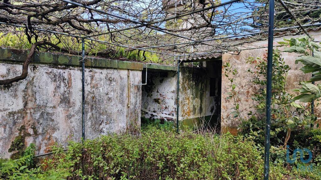 Ground with 3 Rooms in Rabo de Peixe with 820,00 m²