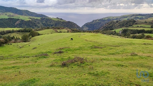 Boden in Povoação, Açores