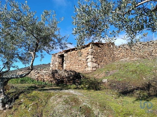 Agricultural Land in Freixo de Espada à Cinta e Mazouco with 9980,00 m²