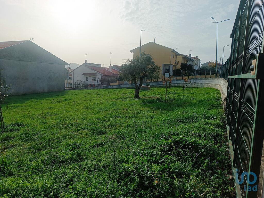 Aankoop: Terrein (5200)