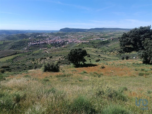 Ground in Freixo de Espada à Cinta e Mazouco with 49572,00 m²