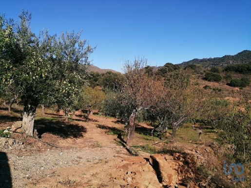 Ground in Freixo de Espada à Cinta e Mazouco with 7200,00 m²