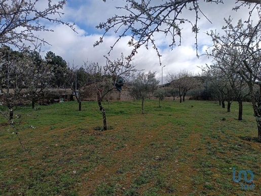 Construction land in Bragança with 4190,00 m²
