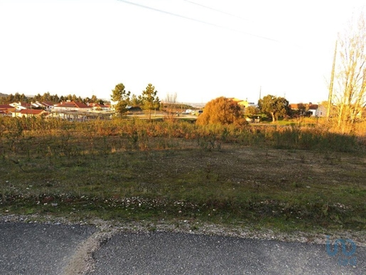 Terreno em Asseiceira de 805,00 m²