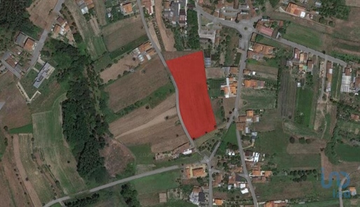 Ground in Aveiro with 11700,00 m²