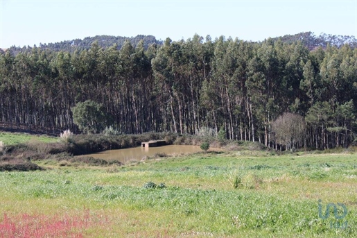 Terrain agricole à Silveira de 36800,00 m²