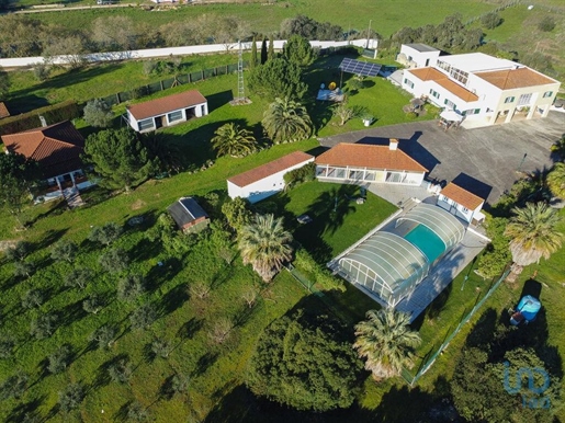 Home / Villa with 7 Rooms in Santarém with 384,00 m²