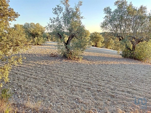 Tierra en el Santarém, Tomar