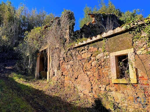 Village house with 2 Rooms in Caldas da Rainha - Nossa Senhora do Pópulo, Coto e São Gregório with 1