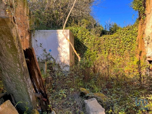 Casa del pueblo en el Leiria, Caldas da Rainha