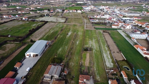 Ground in Vila Real with 23834,00 m²