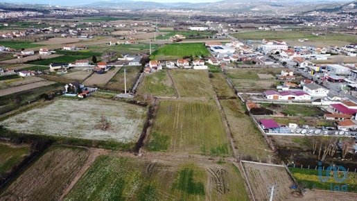 Terreno em Vila Real de 23834,00 m²