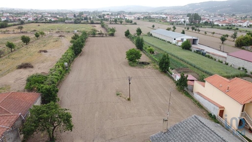 Ground in Vila Real with 11000,00 m²