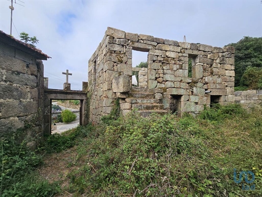 Fünfte in Penafiel, Porto