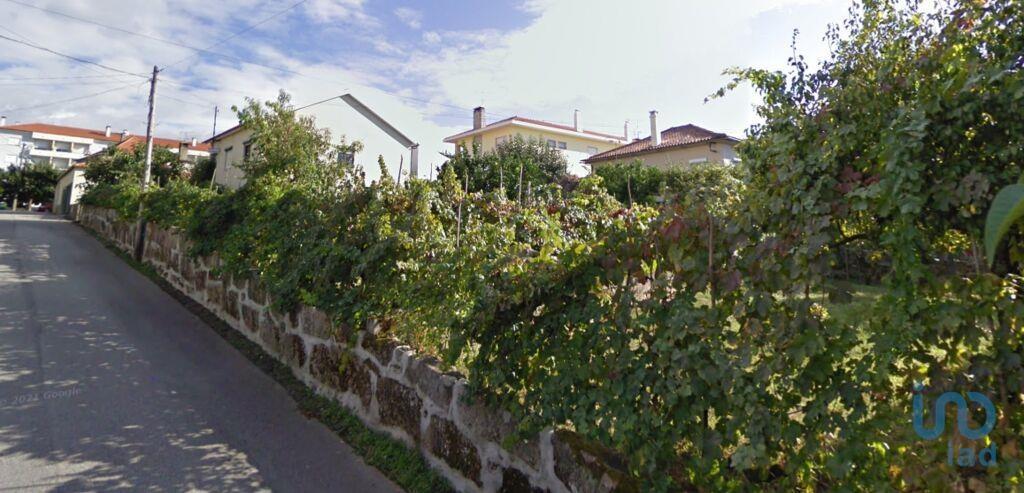 Tierra en el Coimbra, Oliveira do Hospital