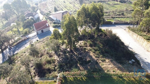 Tierra en el Braga, Esposende