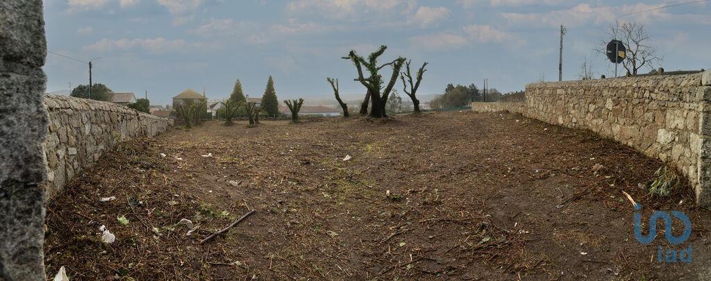 Terrein in São romão de neiva met 7500,00 m²