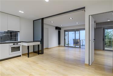 Luxuriously Renovated Apartment