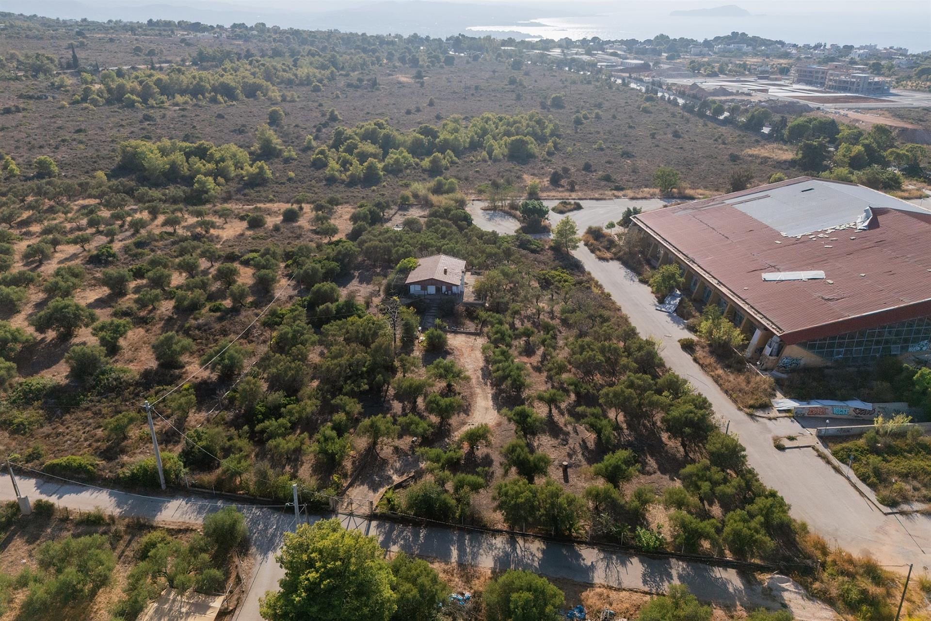 Investment Opportunity 