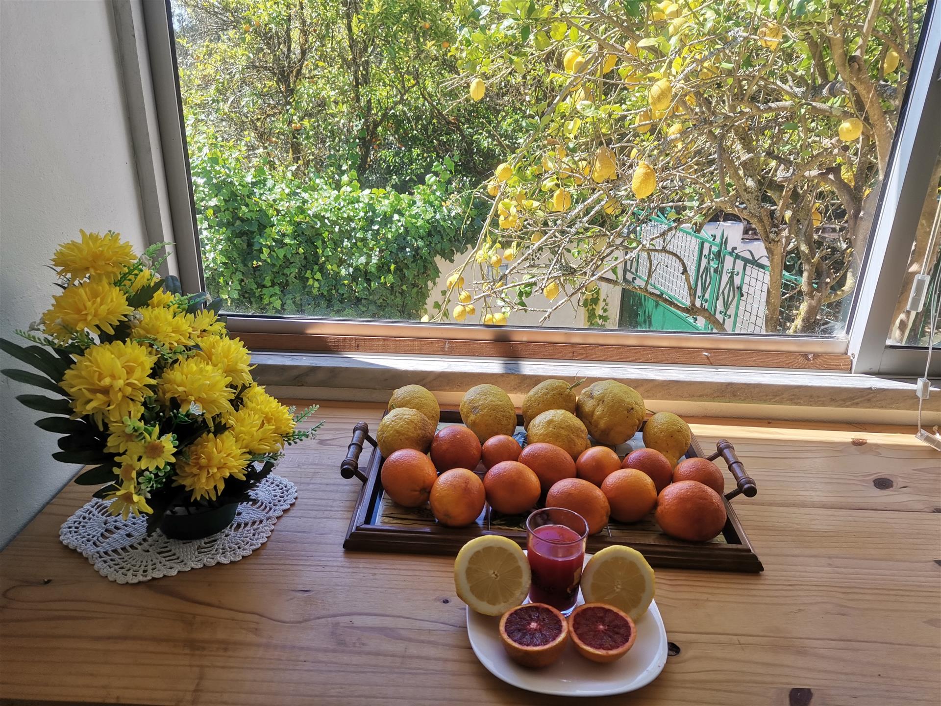 Boerderij in rustig gehucht 30 fruitbomen 