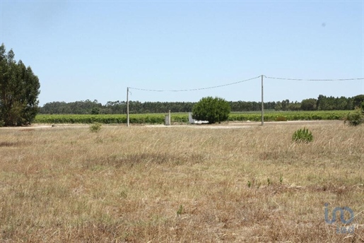 Construction land with 5 Rooms in Setúbal with 2662,00 m²