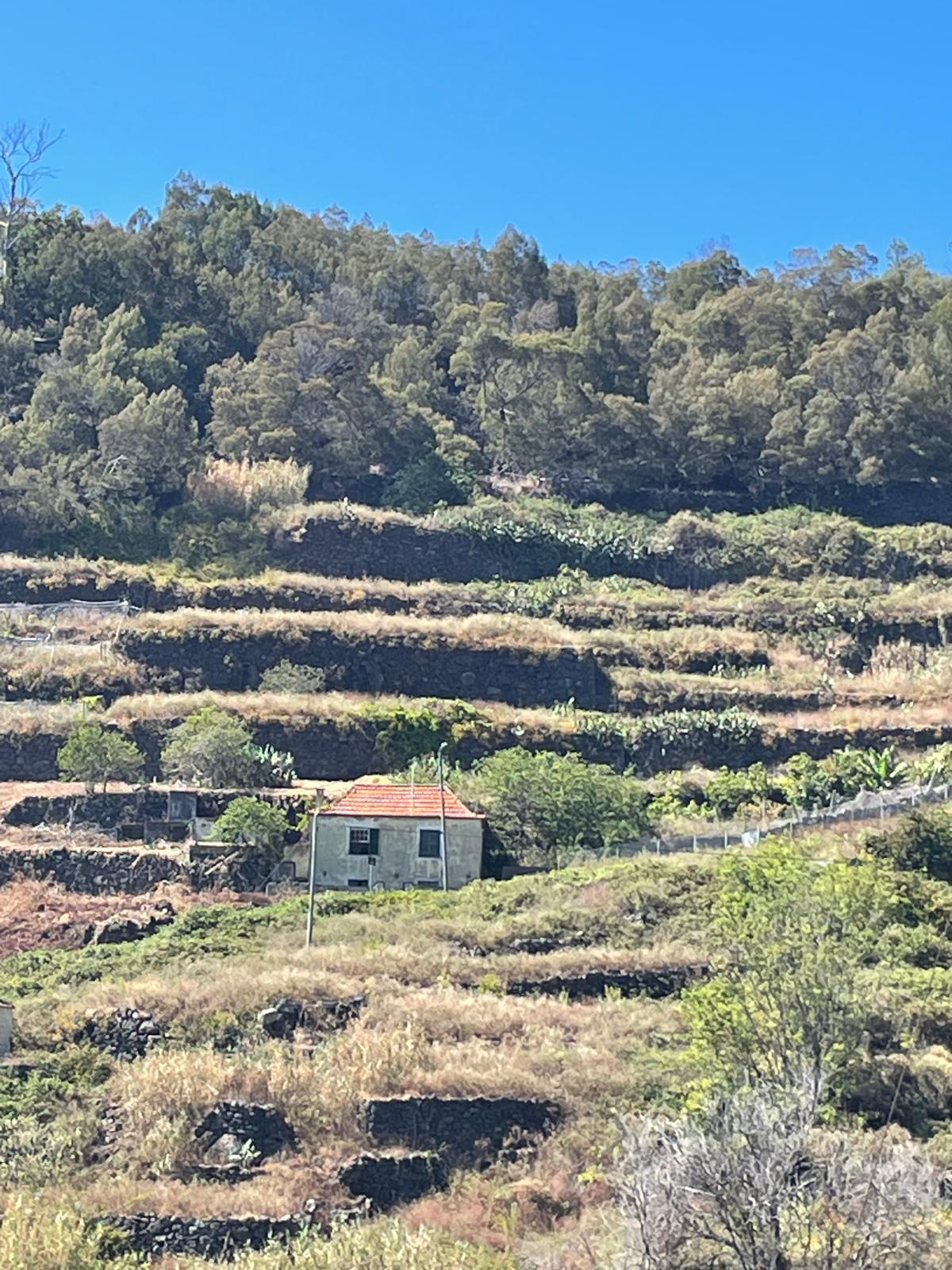 Onroerend goed te koop in Massapé, Tabua, Madeira Island, Portugal.