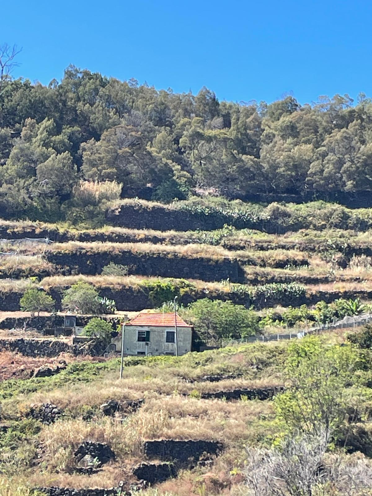 Onroerend goed te koop in Massapé, Tabua, Madeira Island, Portugal.