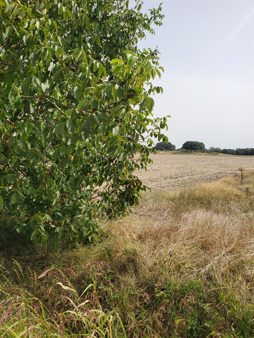Terrain, surface de 738 m2, situé sur la commune de : Meschers sur Gironde