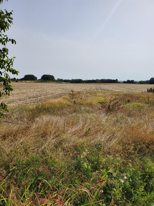 Terrain, surface de 738 m2, situé sur la commune de : Meschers sur Gironde