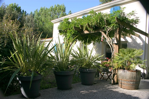 Haus, 6 Zimmer, Fläche von 150 m2, befindet sich in der Ortschaft: Meschers-Sur-Gironde