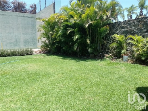 Villa à vendre Golden Zone - Vista Hermosa, Cuernavaca, Morelos